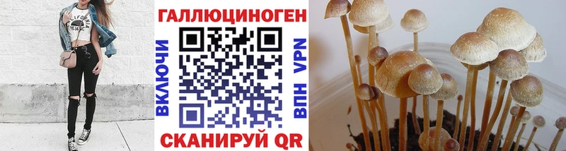 Псилоцибиновые грибы Psilocybe  где продают   Калязин 